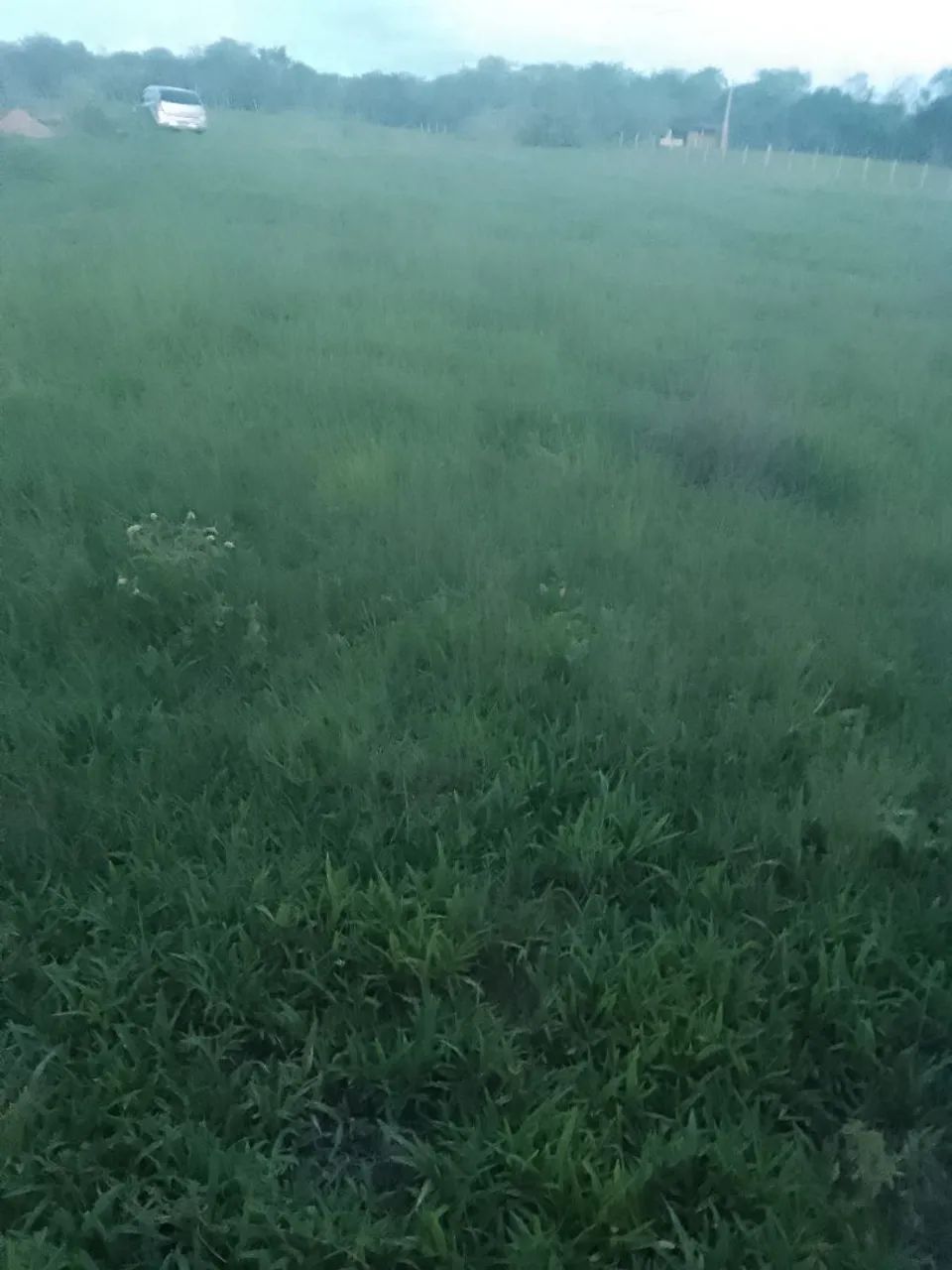 4 tarefas de terra - Foto 4