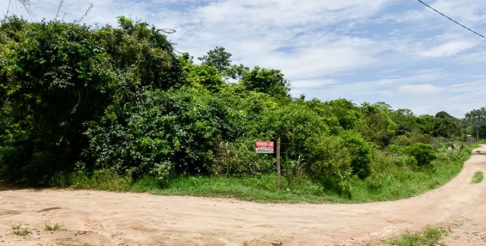 Foto - Armação Dos Búzios - 