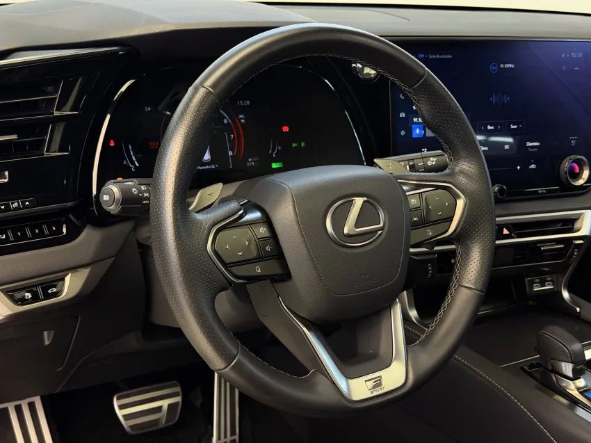 Lexus RX-500h F-sport 2.4 16V Aut. (híbrido), foto 17 de 19