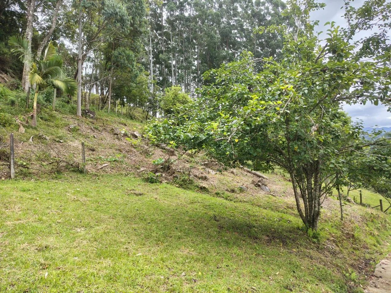 Sítio de 3 hectares em Anitápolis - Com casa, açude, 2 nascentes e vista espetacular. - Foto 2