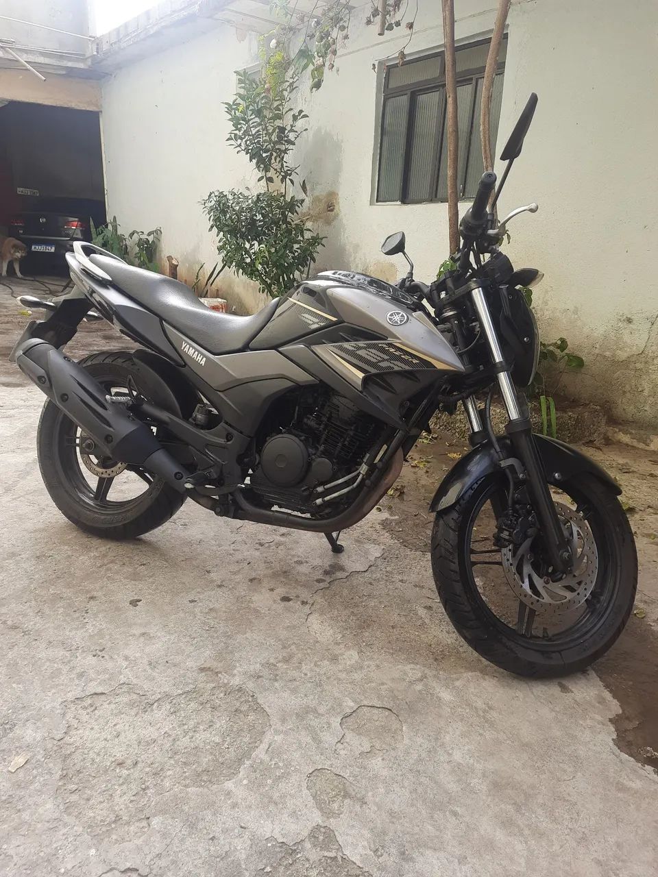 Fazer 250 16/17