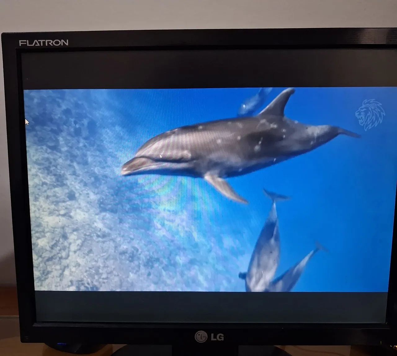 Monitor LG 15"P - Foto 2