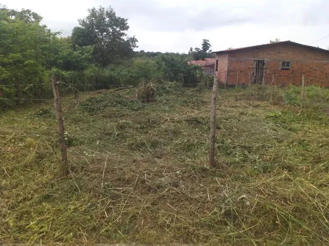Terreno em Bacabeira  - Foto 5