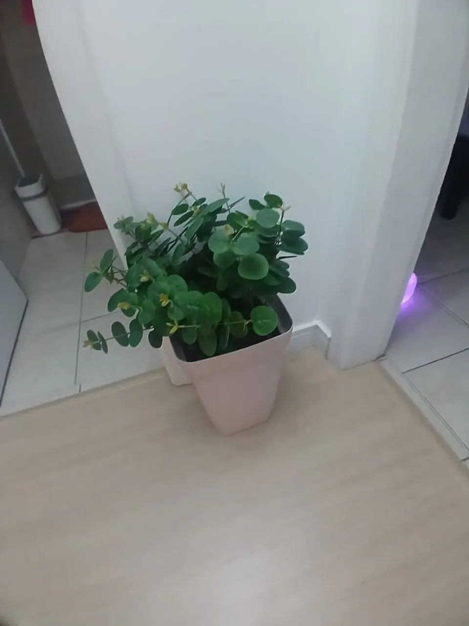 Vaso artificial 
