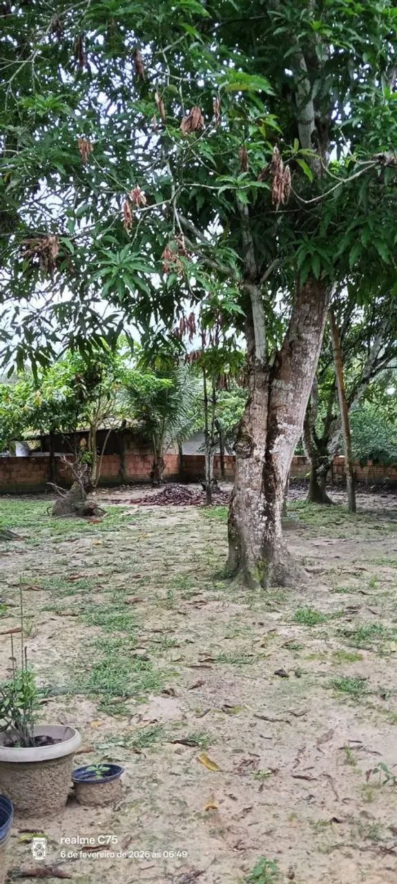 Sim - Foto 3