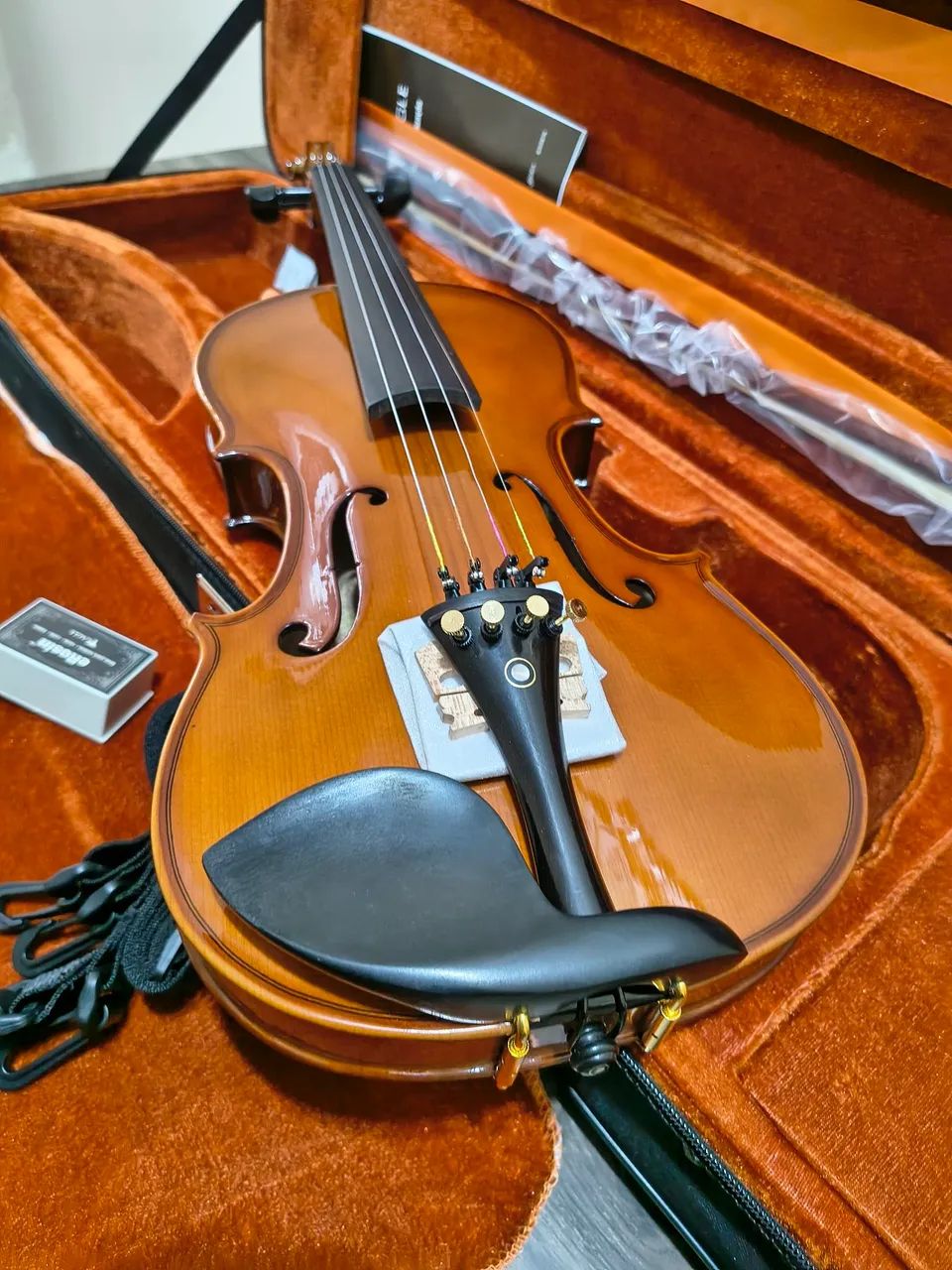 Violino Eagle VE144 Completo  - Foto 5