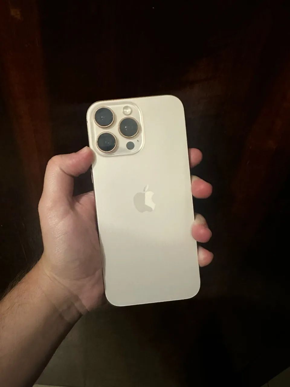 IPHONE 16 PRO MAX 256 GB