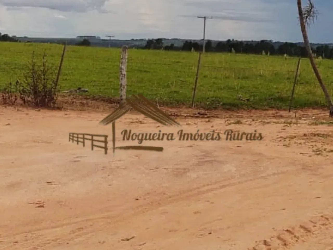 Fazenda com 137 alqueires em Garça-SP - Foto 4