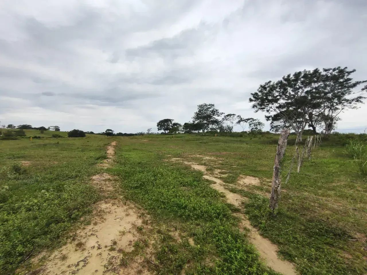 Sítio com 50 mil M2 em Quissamã próximo ao bloco forte - Foto 4
