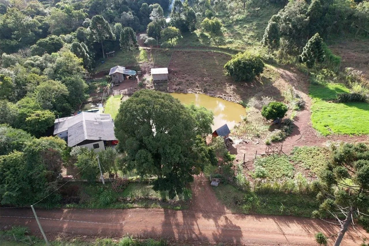 Sitio a venda em Canela - Foto 5