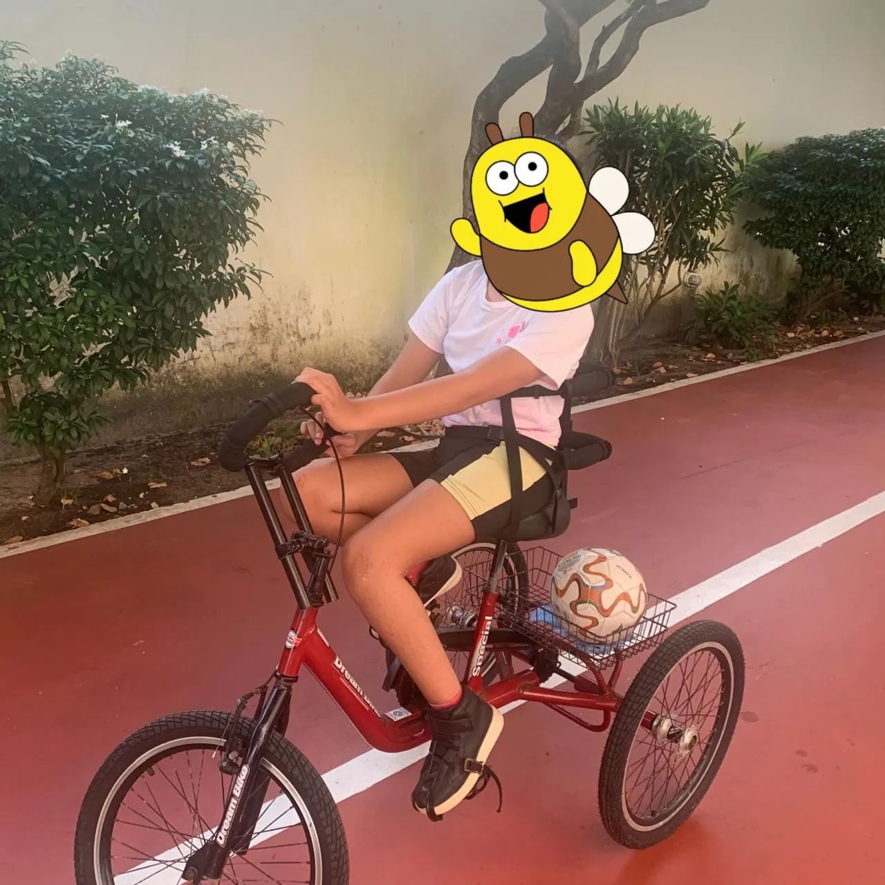Bicicleta adaptada dream bike aro 20 - Foto 4