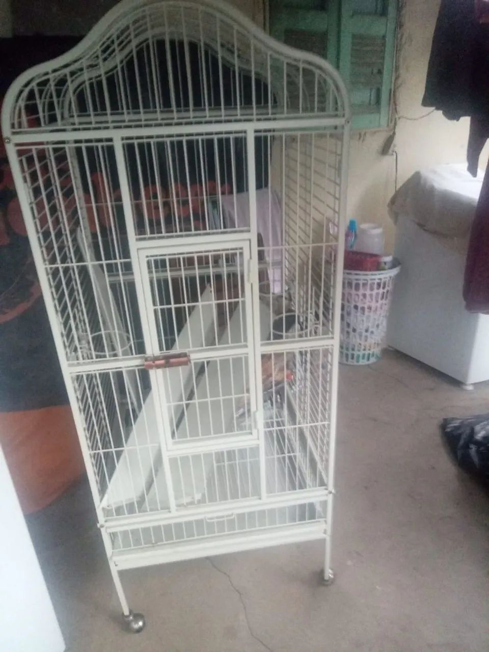 Aviary