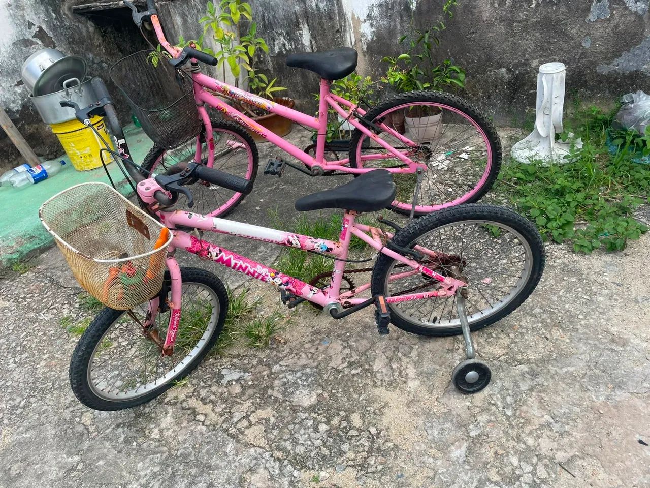 Boas precisa de um trato! - Foto 2