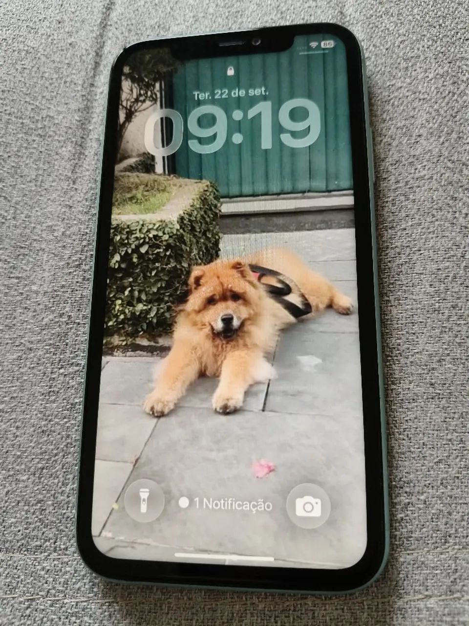 Iphone 11 256 verde  - Foto 2