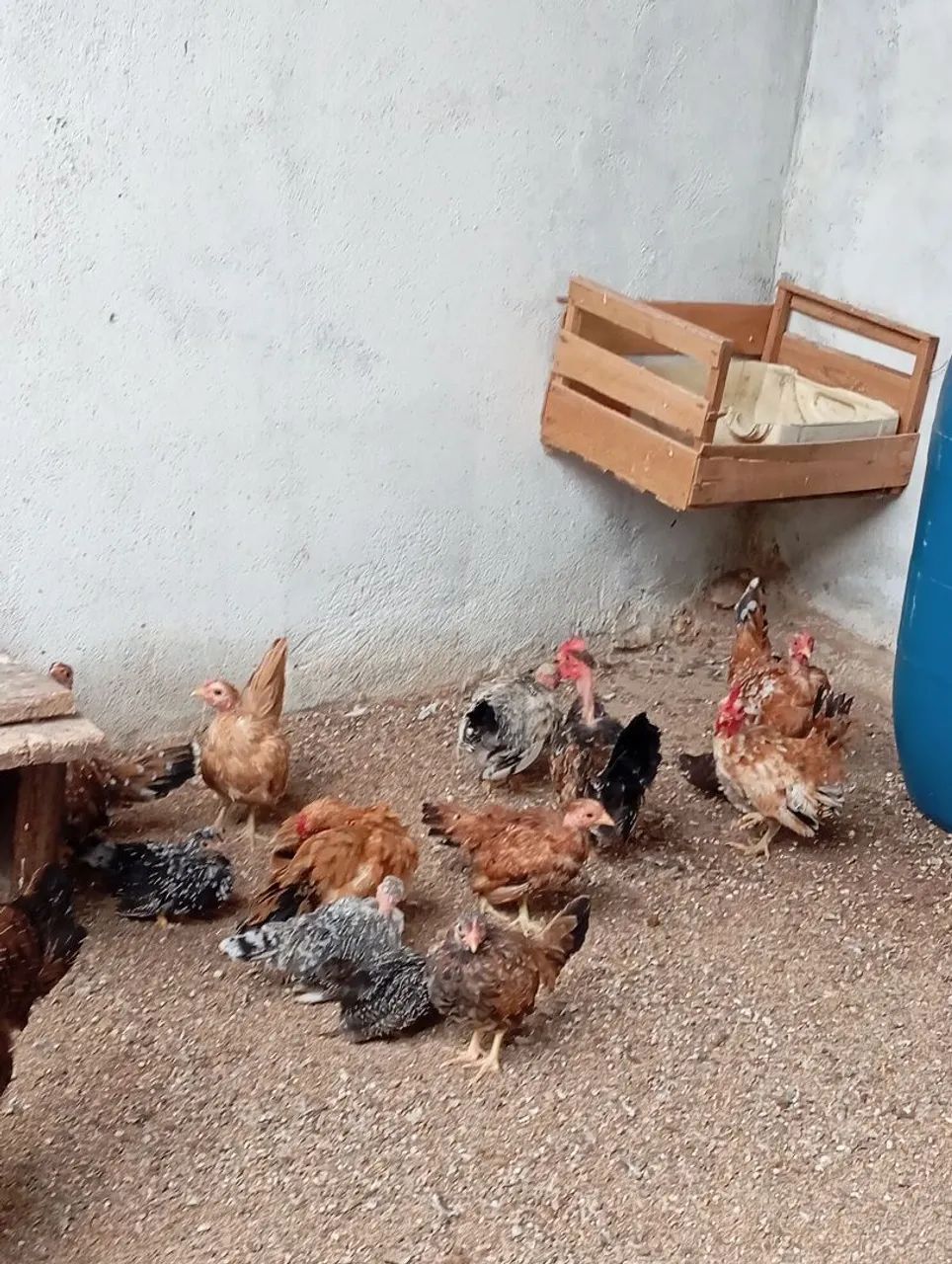 Garnizé Nagazaki 