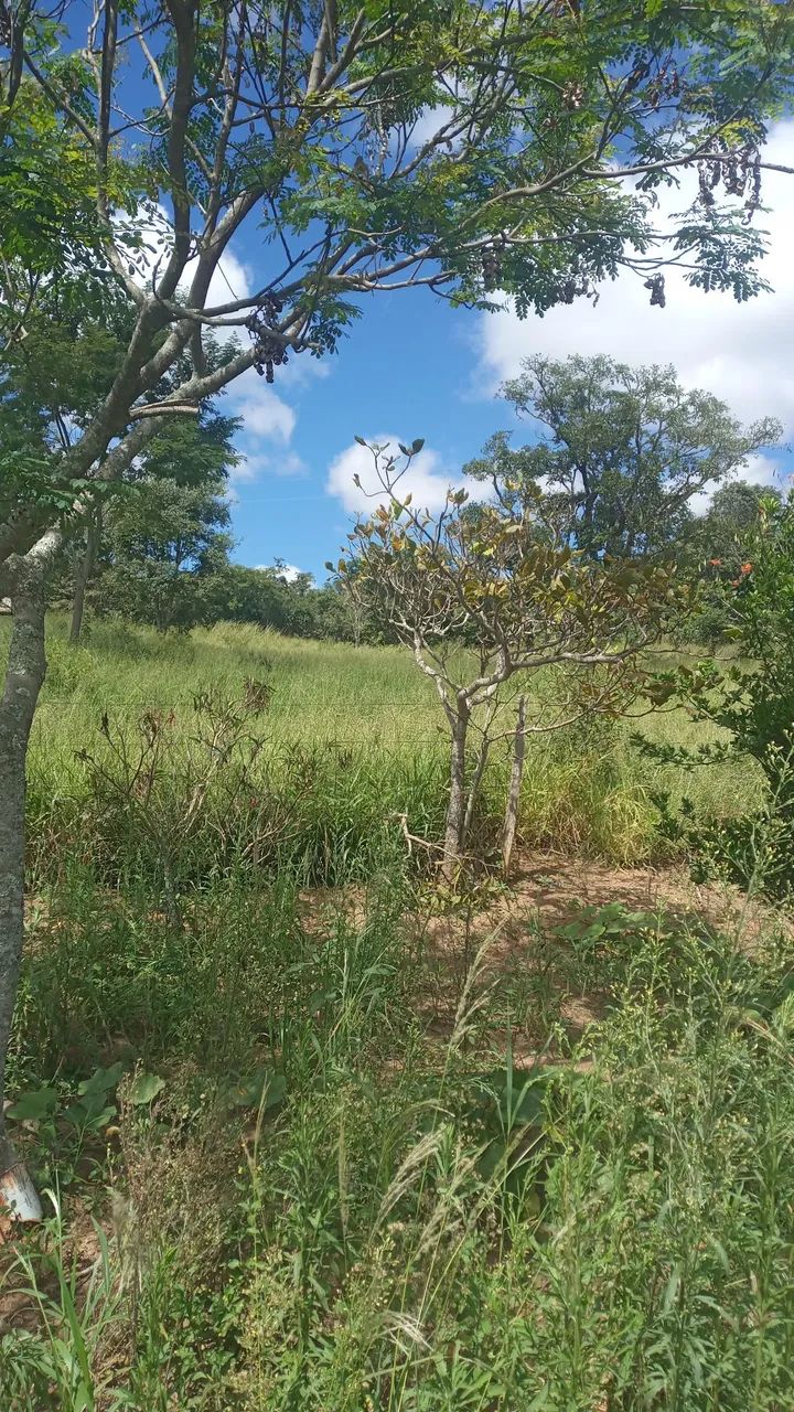 Vendo uma chacara - Foto 2