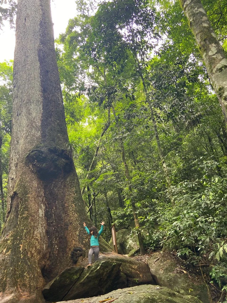 Fins de semana no chalé da cachoeira no pé da serra de Friburgo  - Foto 9