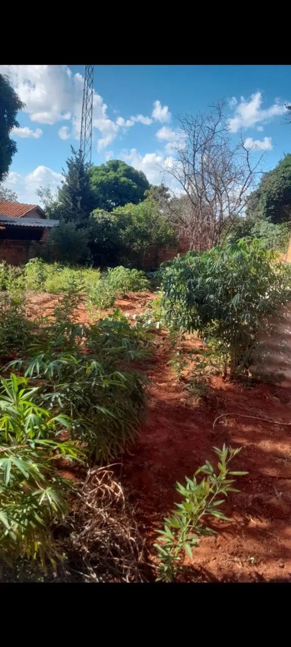 Foto - Guaraci - Bentópolis