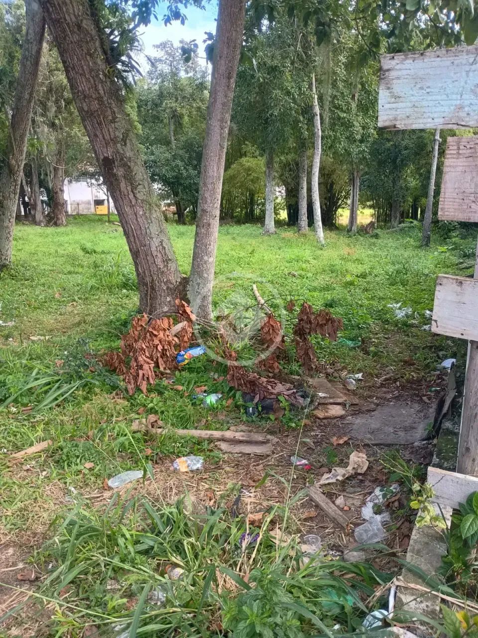 TERRENO - São João do Rio Vermelho - HS-351017 - Foto 4