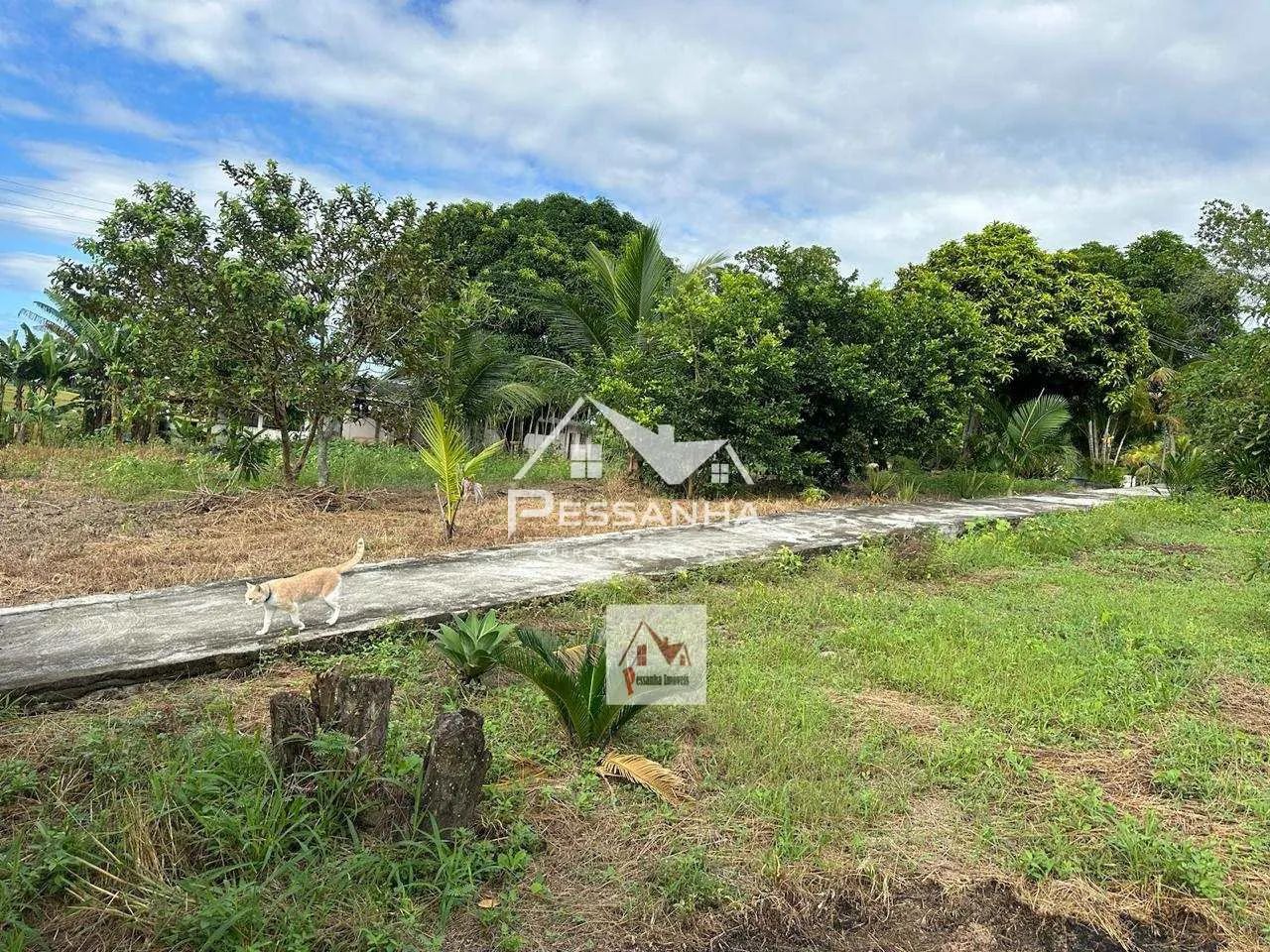 13 alqueires em Saquarema - Cod: 7 - Foto 3