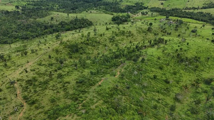 Terreno 500x1900  - Foto 3