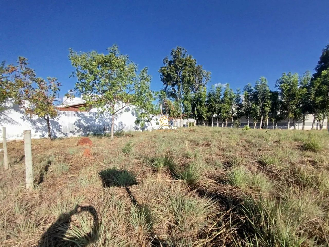 Lote|Terreno 676 m² - Plano Diretor Norte - Centro - Foto 2