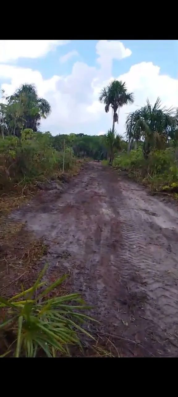 Vendas de Lotes com igarapé, para chácaras e sítio, Terreno na Av Princ em vila de Lindóia - Foto 5