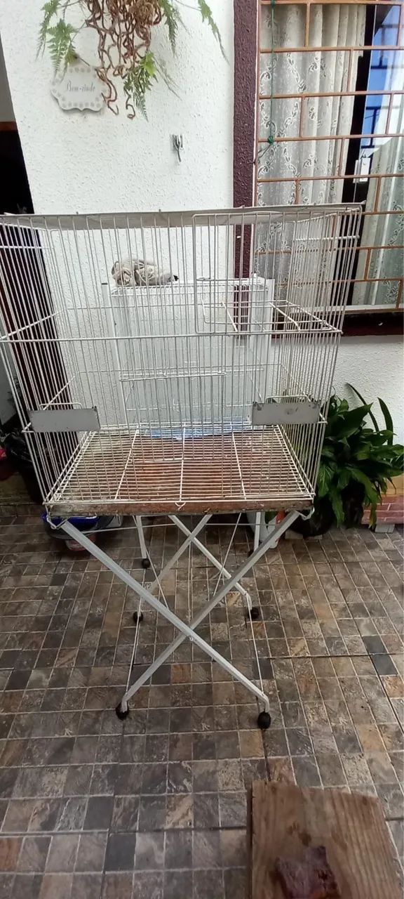 Gaiola - Foto 2
