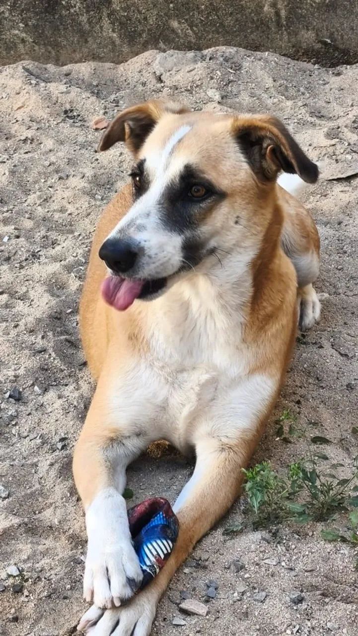 Doação  - Foto 2