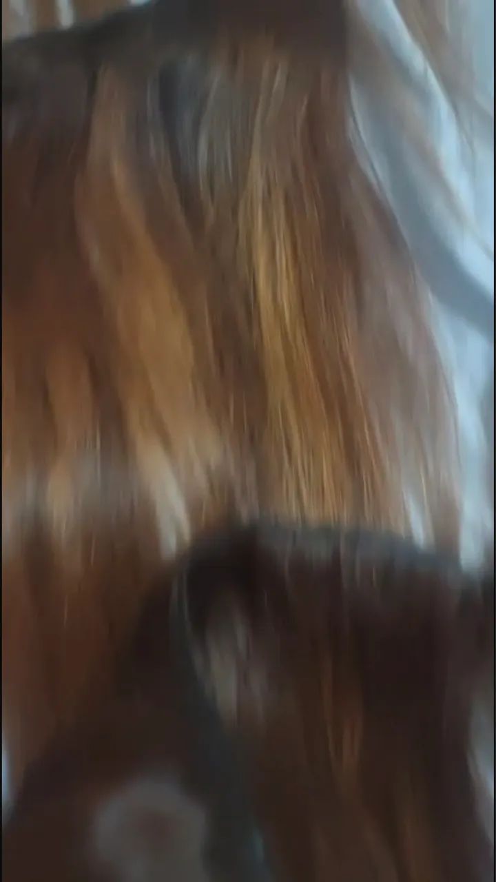 Cabelo vietnamita  - Foto 2