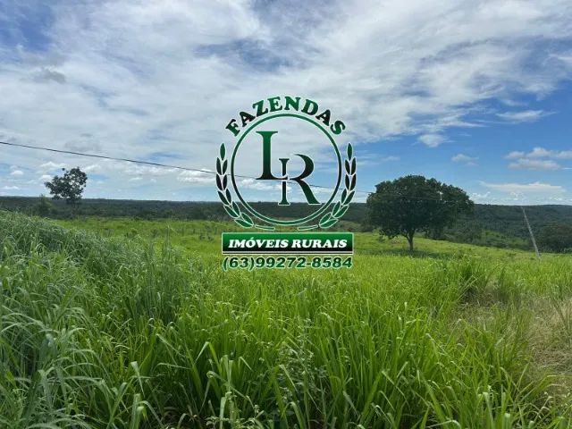 Fazenda 55 Alqueires Dupla Aptidão Próximo a Palmas - Foto 2