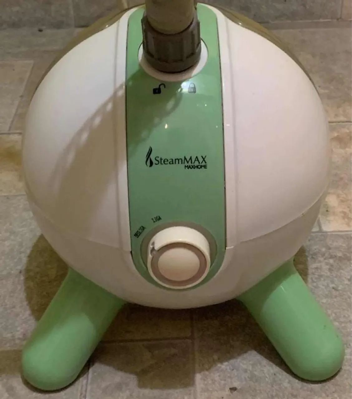 Passadeira a vapor profissional 