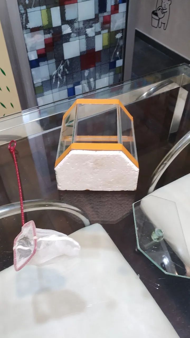 Aquário  Beteira de Vidro com tanpa - Foto 3