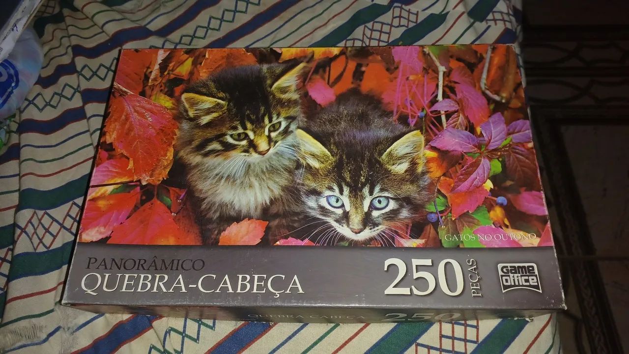 Vendo esse quebra-cabeça de gatinhos!