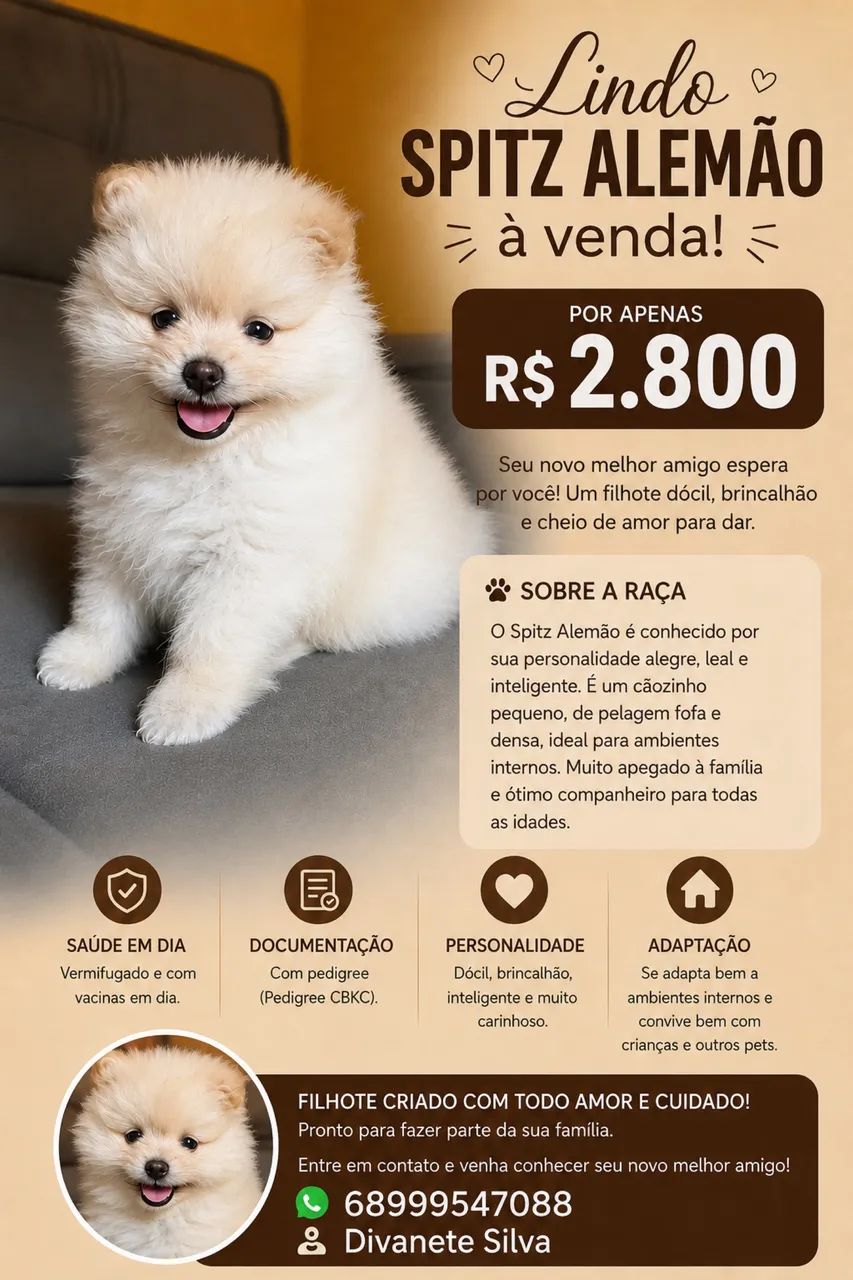 Filhote spitz Alemão