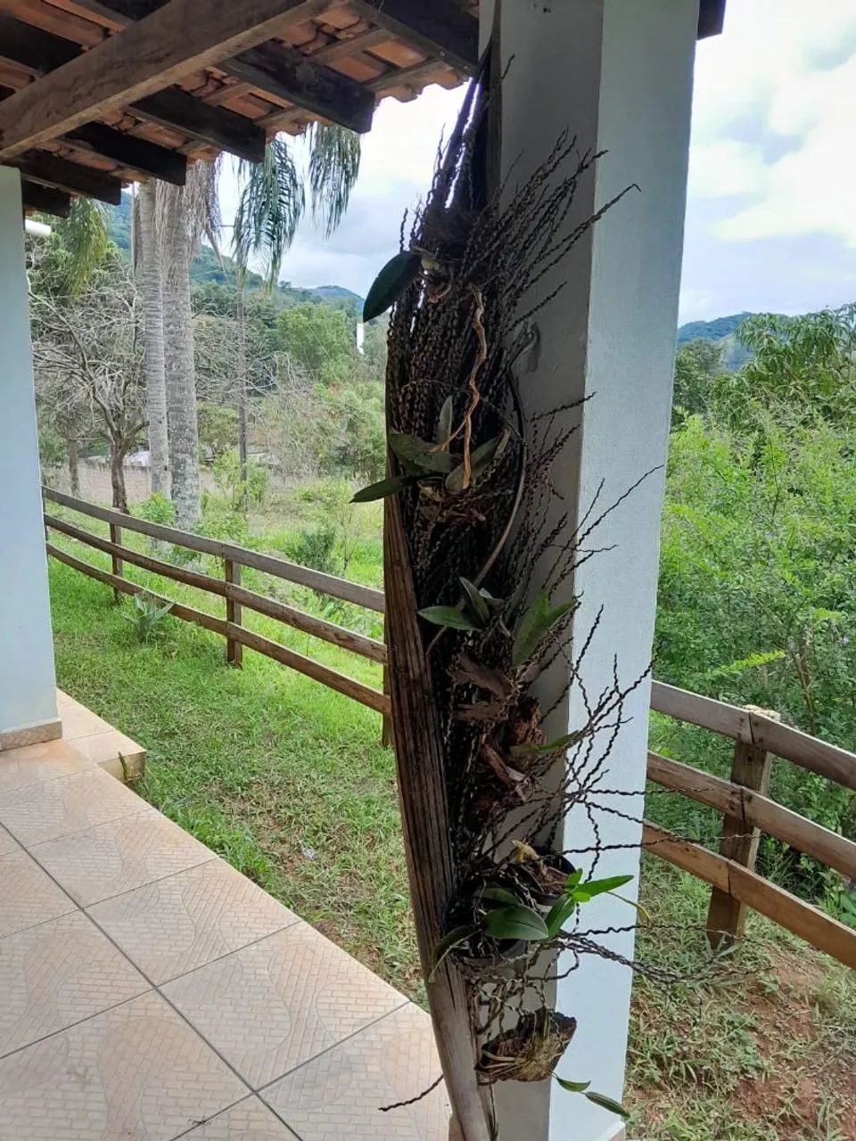 Sitio vendo Jacutinga MG - Foto 3