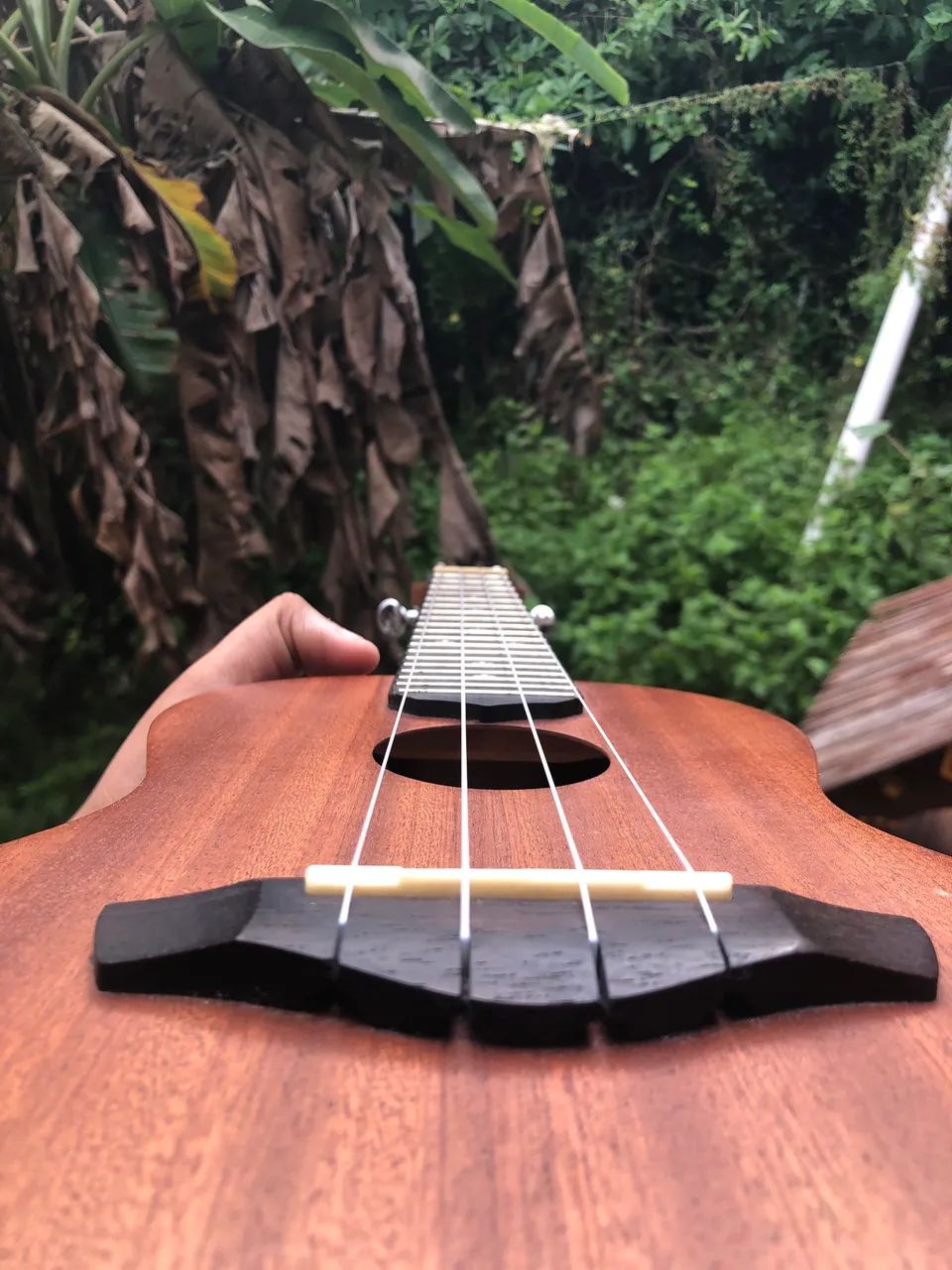 Ukulele Kalani - Foto 2
