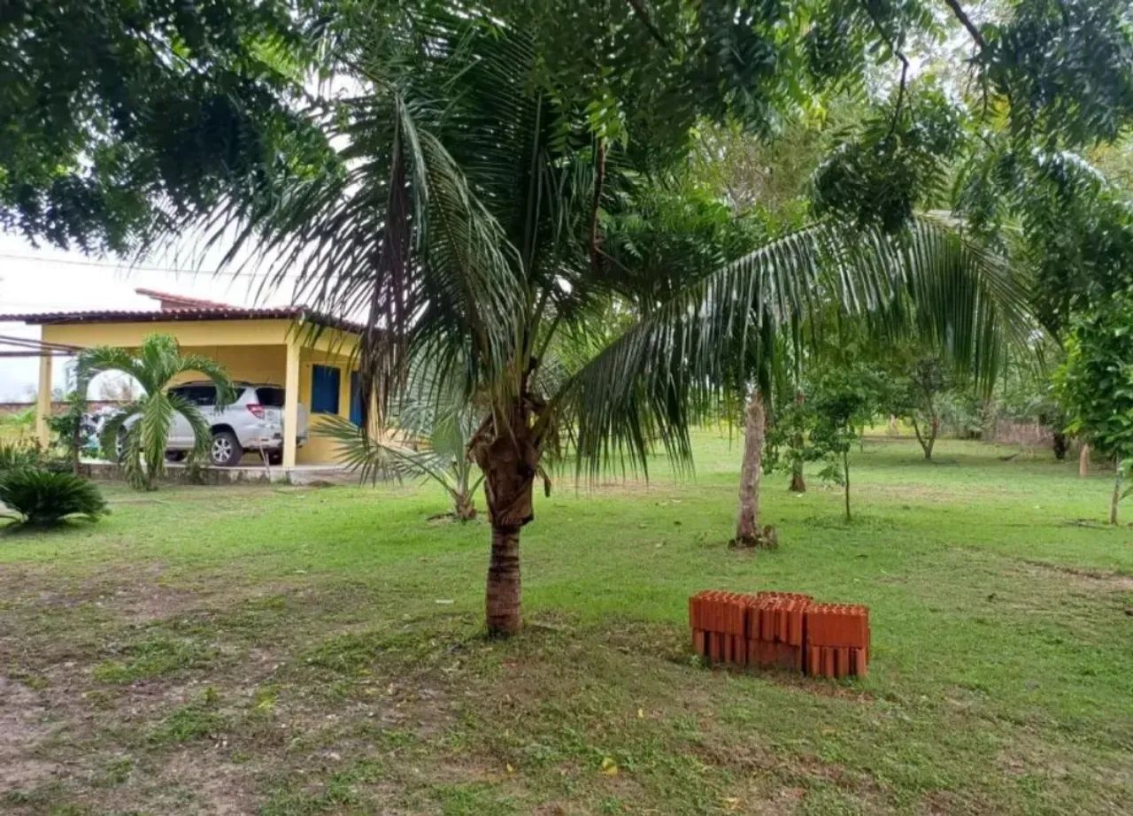 SÍTIO EM AXIXÁ MA - Foto 2