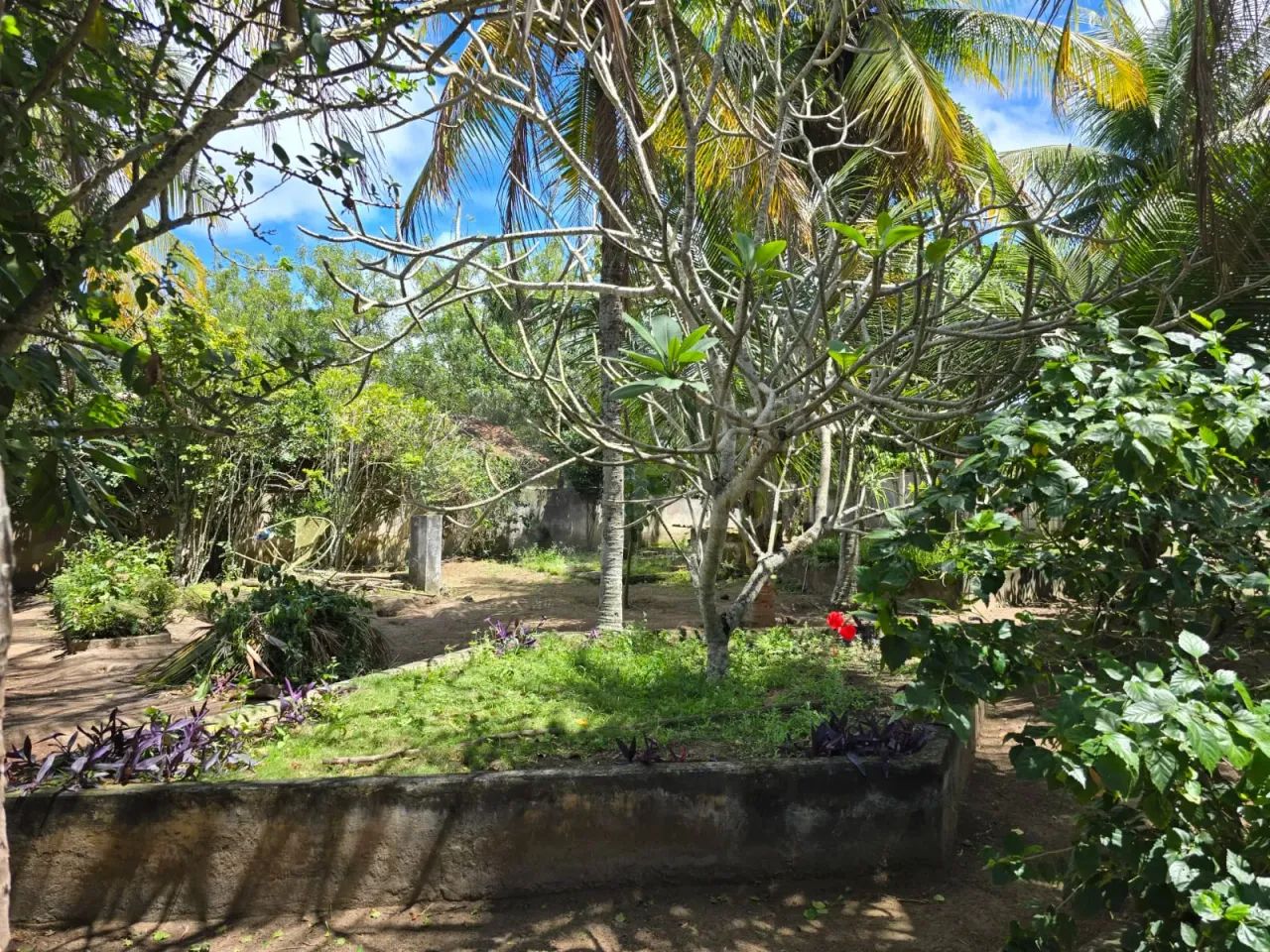 CHÁCARA COM 4 MIL M², Á VENDA EM GRAVATÁ-PE - Foto 4