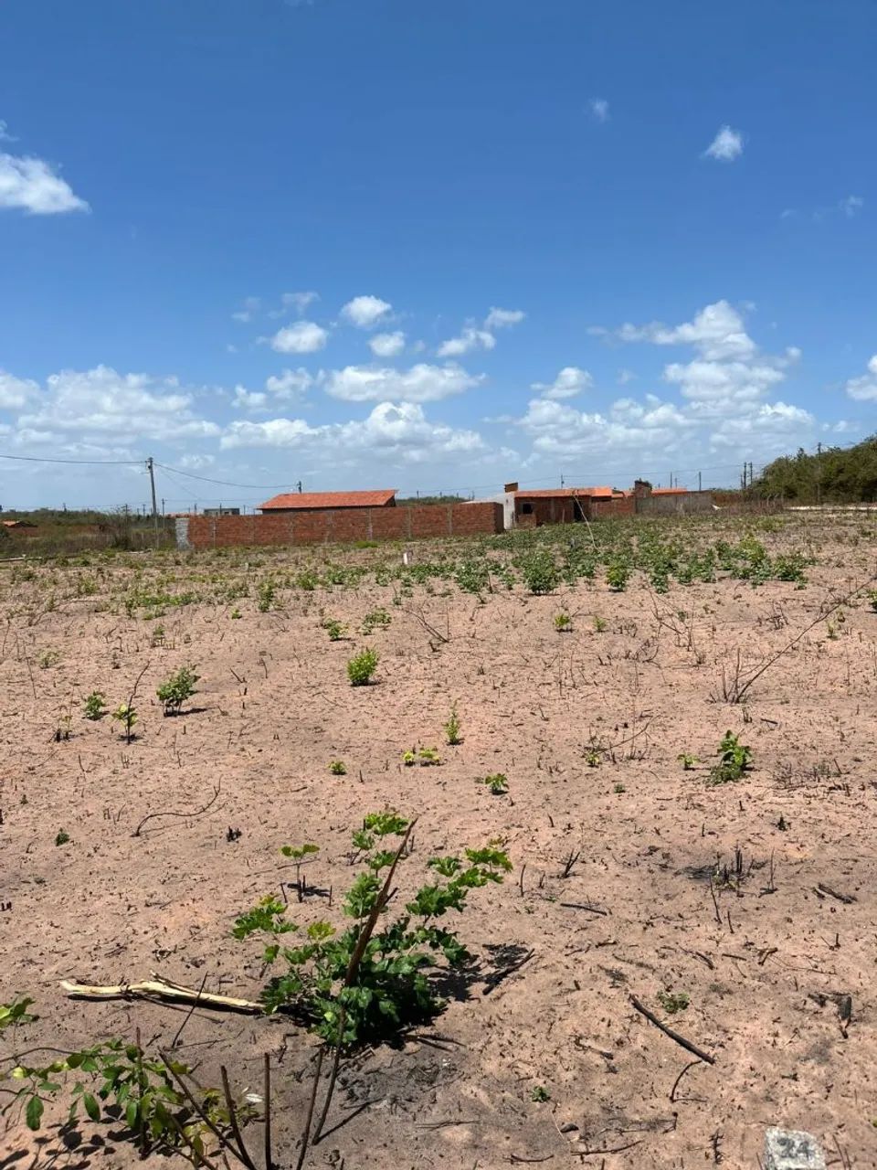 Terreno na Lagoinha paraipaba - Foto 4
