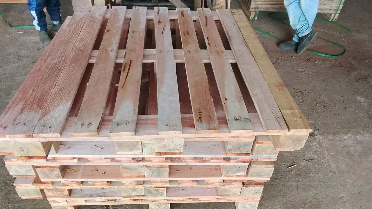Paletes PBR Novos e usados 