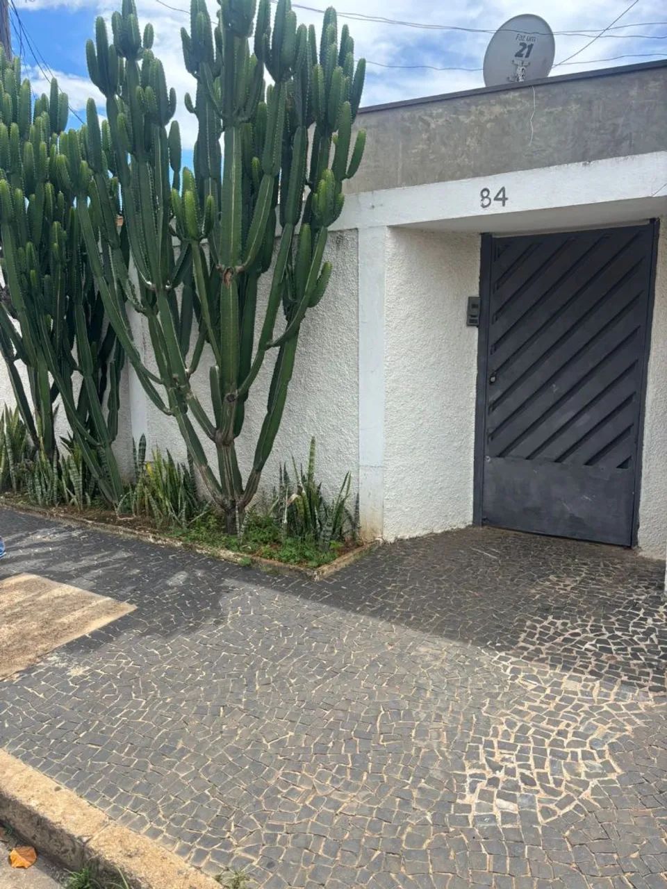 Foto - Campinas - Ponte Preta