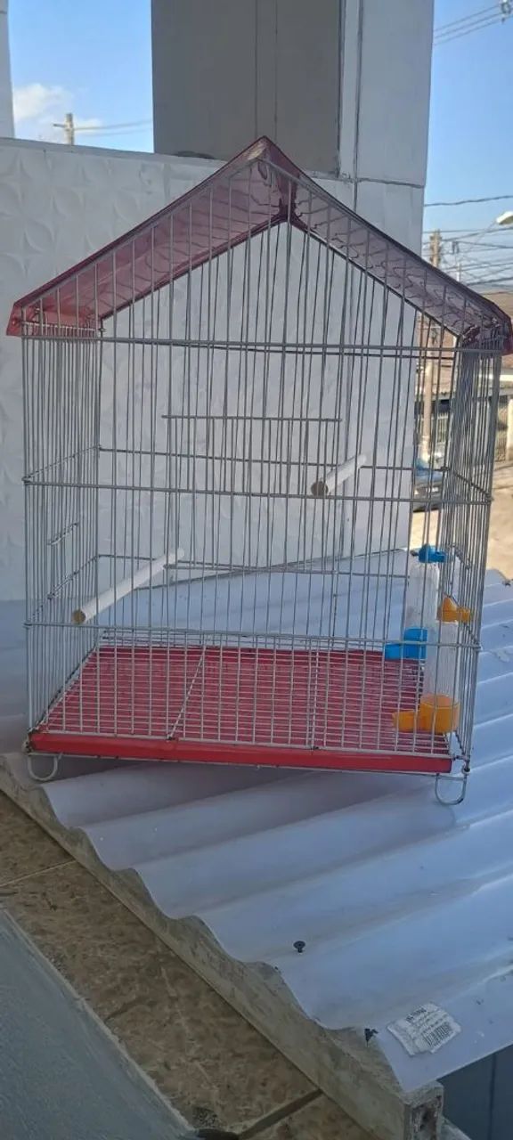 Gaiola  - Foto 3