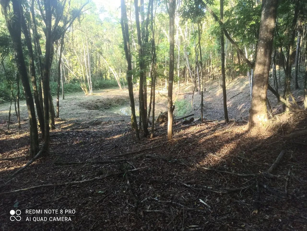 chácara em Antonina  - Foto 3