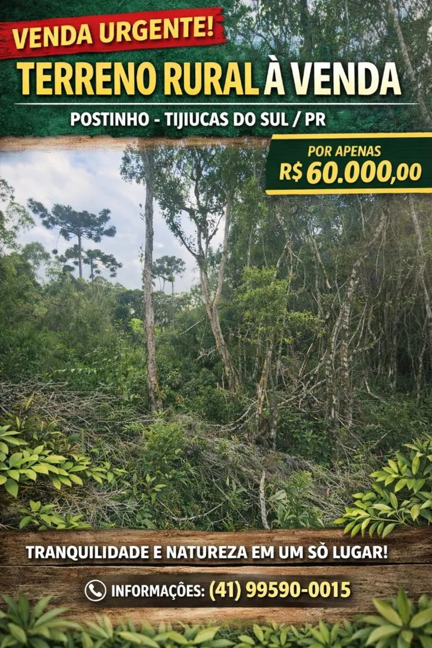 Foto - Tijucas do Sul - Centro