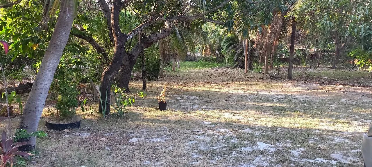 Sítio - Matões, São Gonçalo do Amarante  - Foto 3