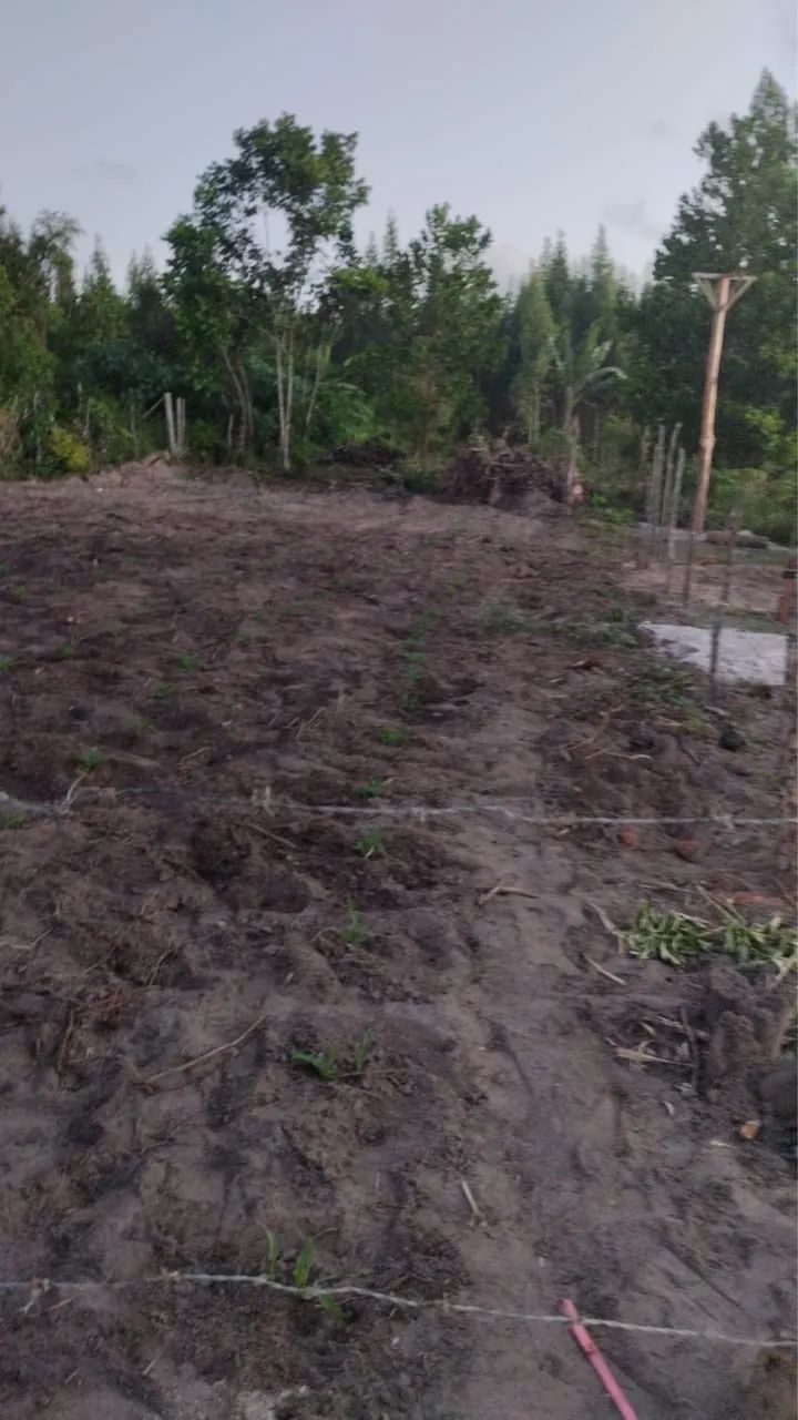 Vendo terreno em  Massarandupió  - Foto 3