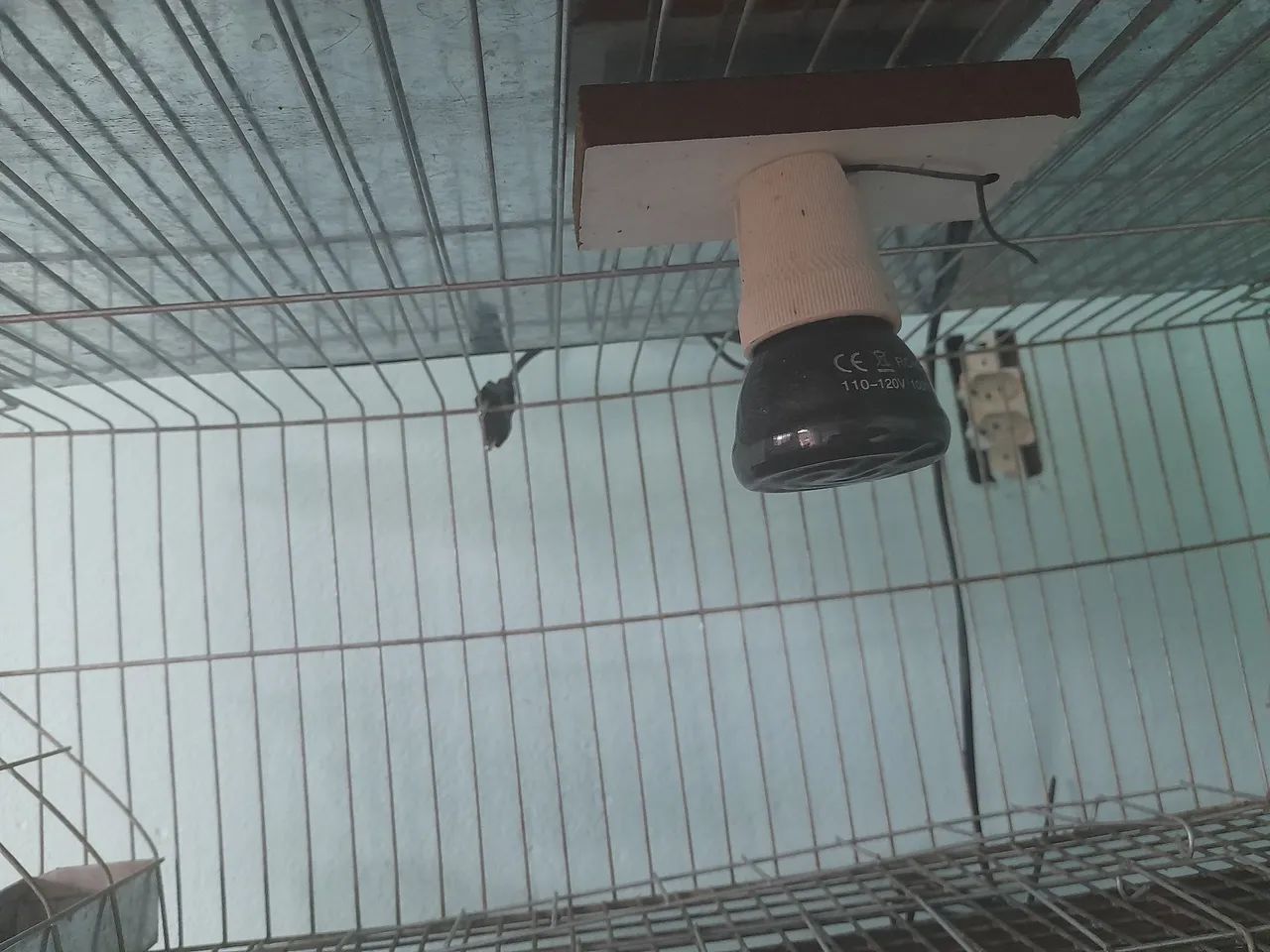 Viveiro com 3 gaiola 750$ santo André  - Foto 6