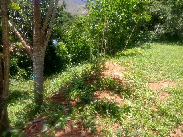 Vale das Videiras - Vende-se terreno 2.400 m2 (direto com propretário) - Foto 3