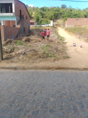 Jequia povoado alagoinha frete para lagoa - Foto 3